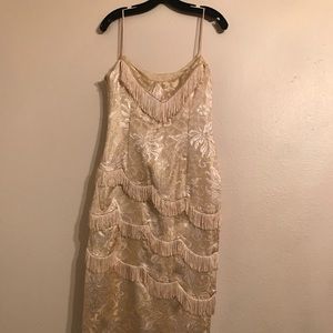 Collections Evening dress